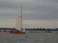 holzpirat    dsc