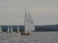 holzpirat    dsc