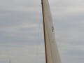 holzpirat    dsc