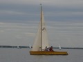 holzpirat    dsc