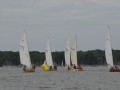 holzpirat    dsc