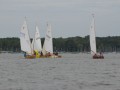 holzpirat    dsc