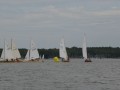 holzpirat    dsc