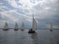 holzpirat    dsc