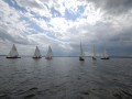 holzpirat    dsc