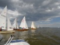 holzpirat    dsc