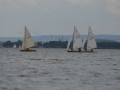 holzpirat    dsc