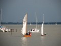 holzpirat   dsc