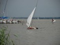 holzpirat   dsc