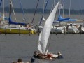 holzpirat    dsc