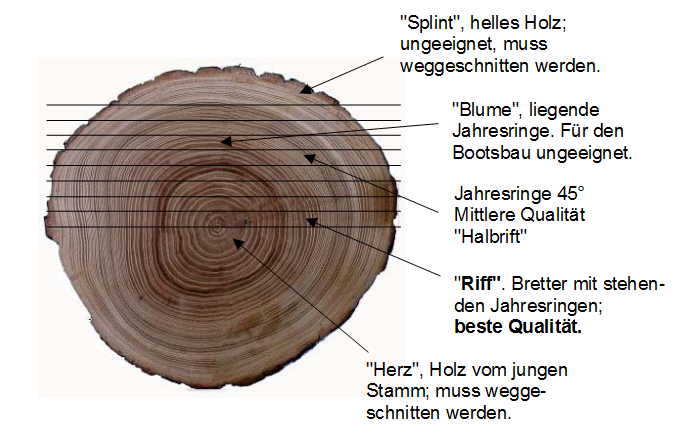 Rolfs-Neubau-00e