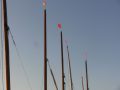 HPF CIMG holzpirat Malte