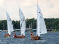 Festival der Holzpiraten IngoGuenther